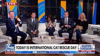 'Fox & Friends Weekend' celebrate International Cat Rescue Day with feline friends - Fox News