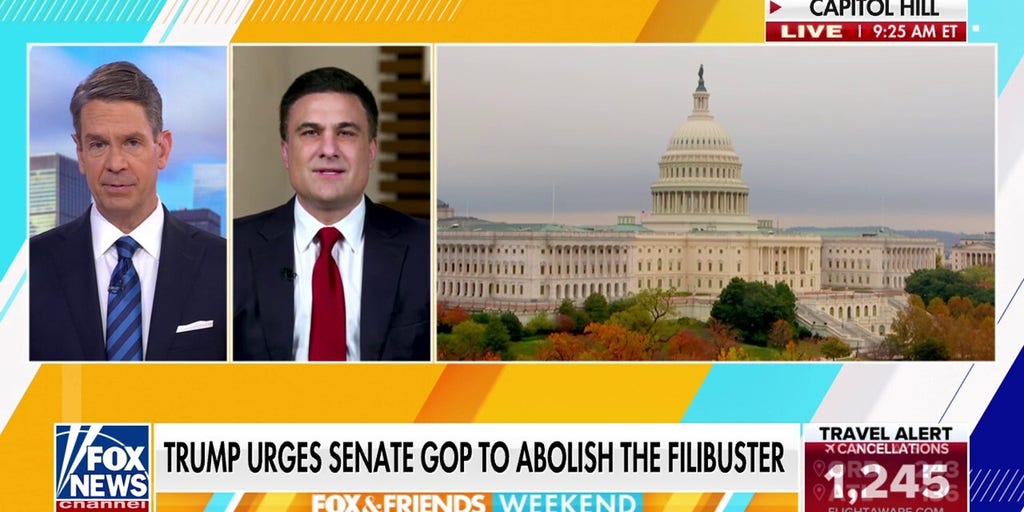 Senate Republicans need to 'stand with' Trump: GOP Senate candidate