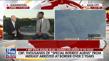 Steve Scalise makes his pitch to replace McCarthy as Speaker