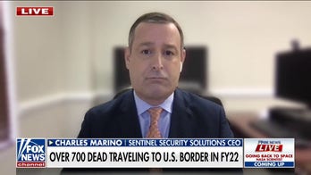 Biden admin has ‘no strategy’ when it comes to the border: Former DHS adviser