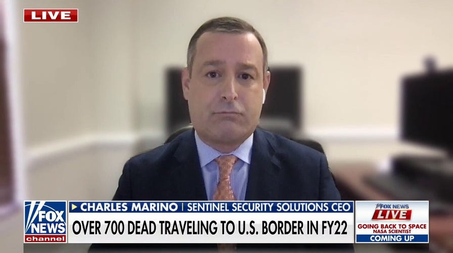 Biden admin has ‘no strategy’ when it comes to the border: Former DHS adviser