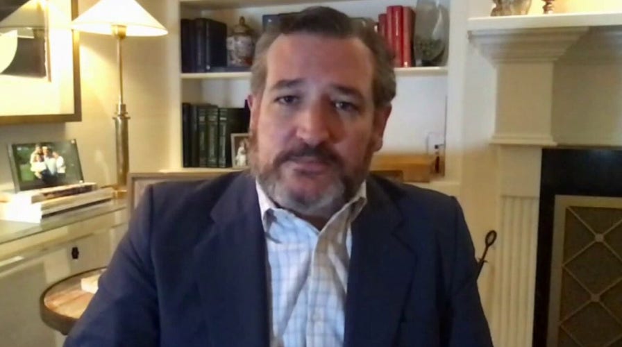 Ted Cruz discusses next steps in legal fight over 2020 election