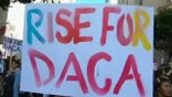 Ali Noorani: Restoration of DACA benefits US and Dreamers — now we need immigration law reform
