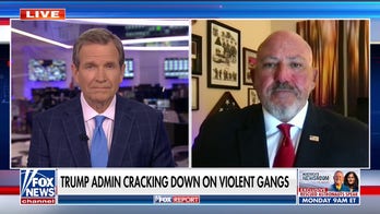 Ex-ATF special agent warns MS-13, Venezuelan gangs have ‘growable reach,’ present a ‘primary threat’ to the US