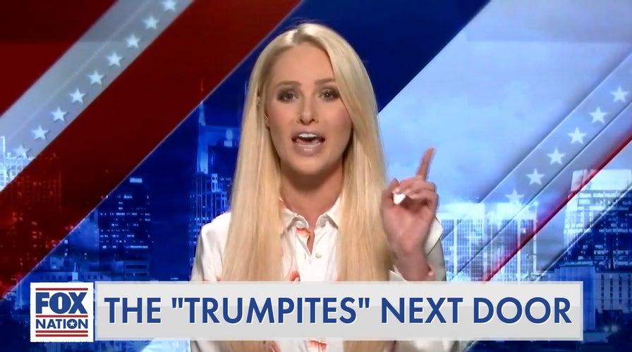 'Seek help:' Tomi Lahren goes after columnist complaining about pro-Trump neighbors who shoveled her snow