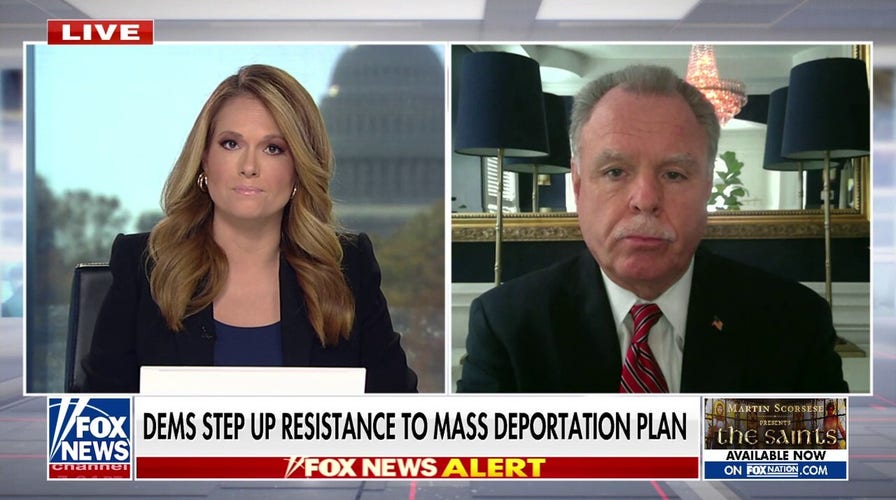 Former Chicago police boss 'astounded' by resistance to Trump's deportation plans: 'Tone deaf arrogance'