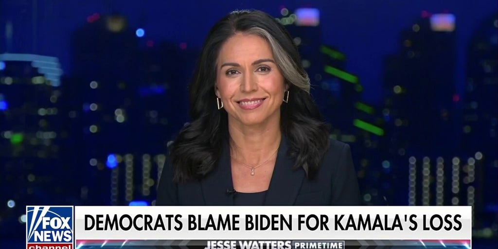 Democrats 'care so little for our democracy,' says Tulsi Gabbard