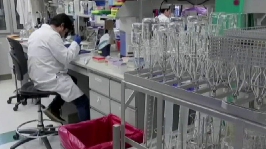 Race for coronavirus treatment sees 2 generic drugs tested Fox News