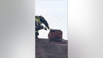 Firefighters rescue puppy STUCK in chimney