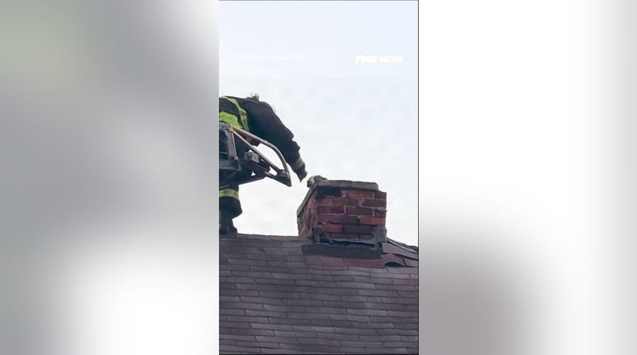 Firefighters rescue puppy STUCK successful  chimney