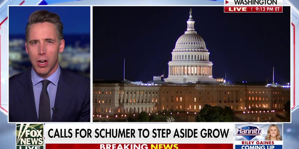 Democratic Party 'totally lost its way,' says Sen Josh Hawley