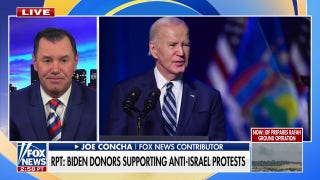 Biden mega-donors behind pro-Palestinian protests across the US: Report - Fox News