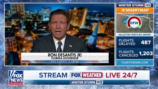Blue states are ‘actively encouraging’ defiance of law enforcement: Gov Ron DeSantis