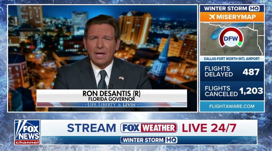 Blue states are ‘actively encouraging’ defiance of law enforcement: Gov Ron DeSantis 