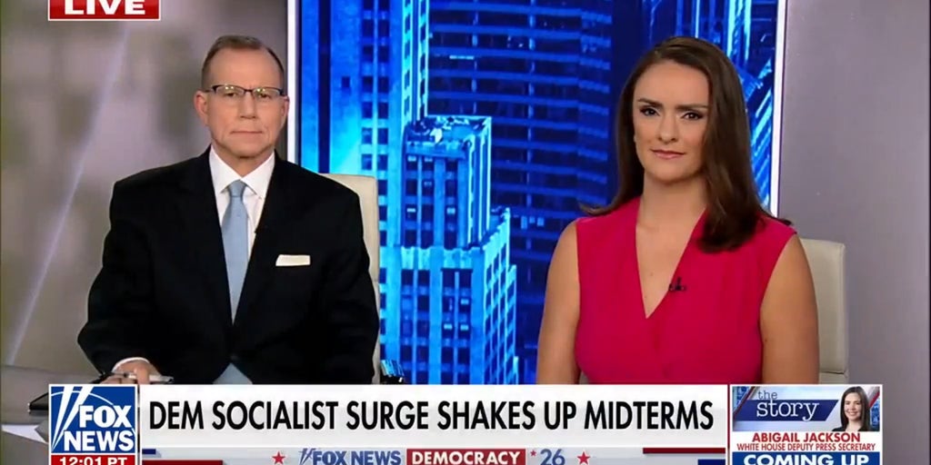 Democrats at a divide ahead of midterm elections