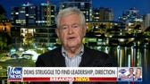 ‘No room left’ for moderates in the new Democratic party, Newt Gingrich advises ‘become Republicans’