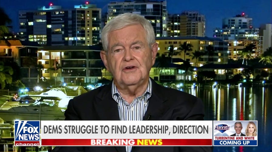 ‘No room left’ for moderates in the new Democratic party, Newt Gingrich advises ‘become Republicans’