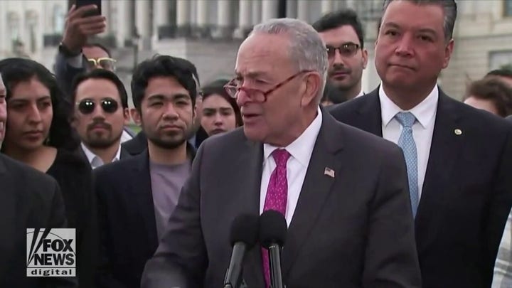 Schumer pushes citizenship for illegal immigrants as US birth rate drops