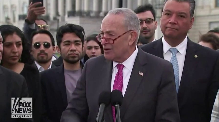 Schumer pushes citizenship for illegal immigrants as US birth rate drops
