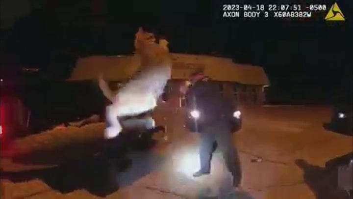 Wisconsin deputies, warden pull bobcat out of car's grille