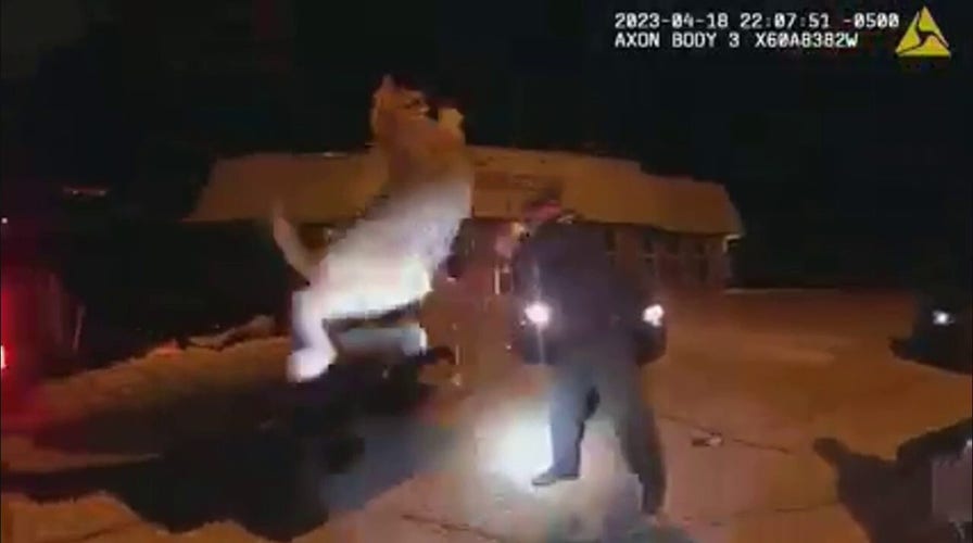 Wisconsin deputies, warden pull bobcat out of car's grille