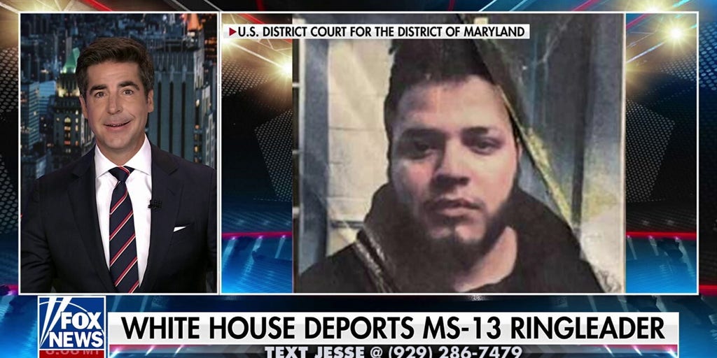 Jesse Watters: Dems called a gang leader a 'Maryland dad'