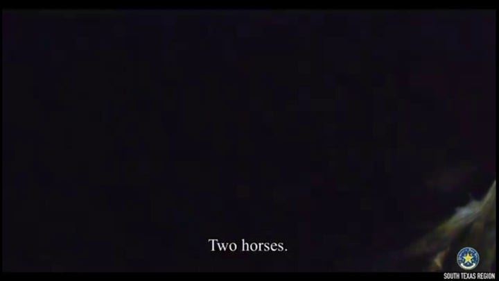 Texas officials find 27 illegal immigrants in horse trailer