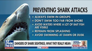 Shark expert Dr. Gavin Naylor has advice for safely avoiding attacks - Fox News