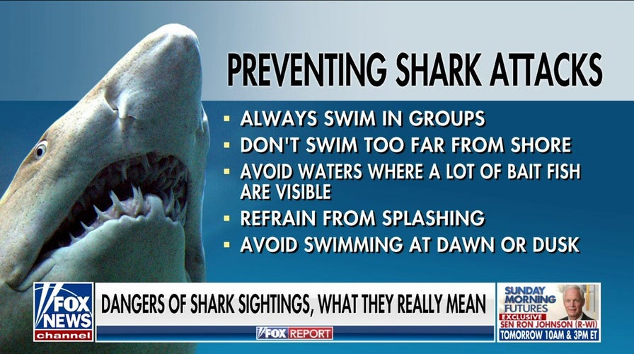 Shark expert Dr. Gavin Naylor has advice for safely avoiding attacks