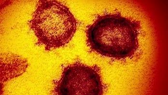Coronavirus live blog: Emergency room physician Dr. Jon Baugh answers your questions