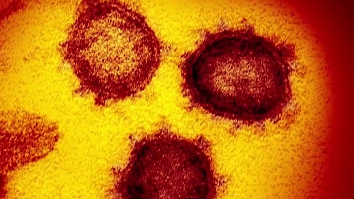 FDA approves first serology test for coronavirus