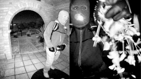 WATCH LIVE: FBI releases suspect description in Nancy Guthrie disappearance - Fox News