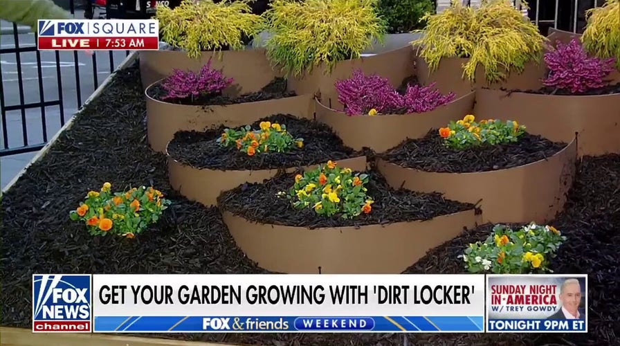 Kick off spring with some needed backyard equipment