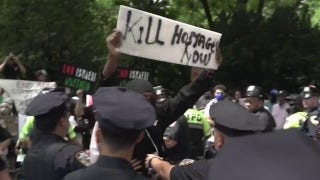 Masked protester taunts NYC Israel Day parade with 'Kill Hostages Now' sign - Fox News