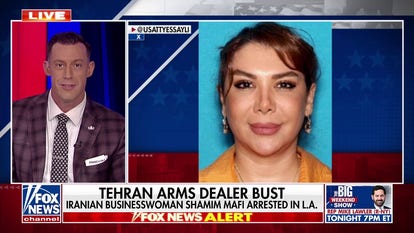 Iranian businesswoman arrested in arms bust