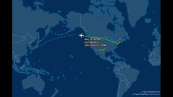 American Airlines flight to Tokyo from New York was diverted to Dallas, Texas for ‘maintenance issue’