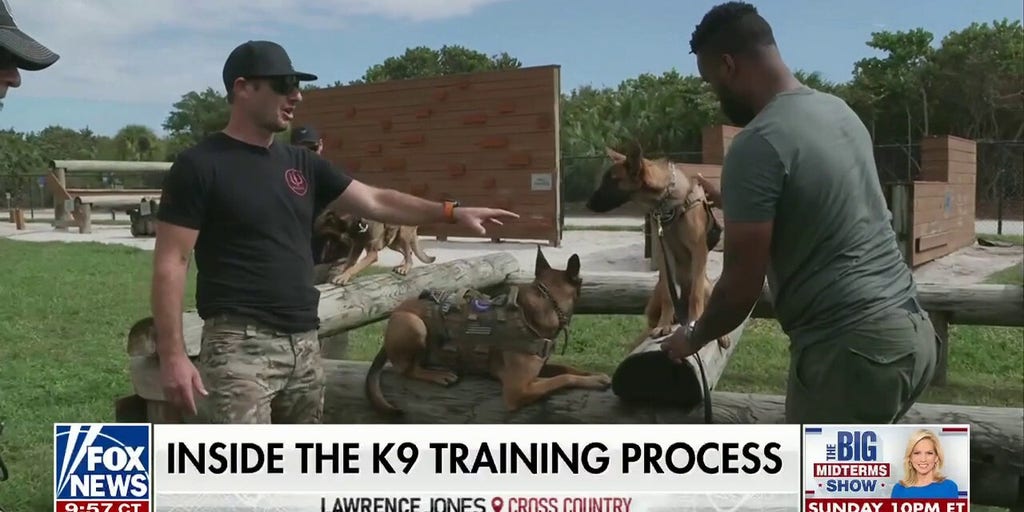 Lawrence Jones showcases his personal connection with dogs ...