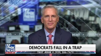 Kevin McCarthy on Democratic Party: A House divided can't stand