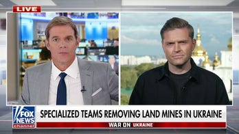 Technicians in Ukraine in a race against time to remove unexploded land mines before winter