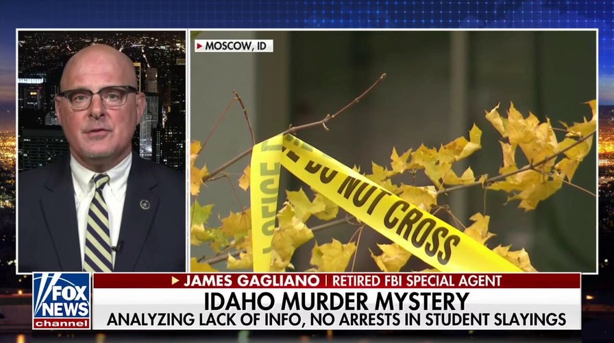 Retired FBI agent: There is still a 'lot of painstaking work' in Idaho murder case