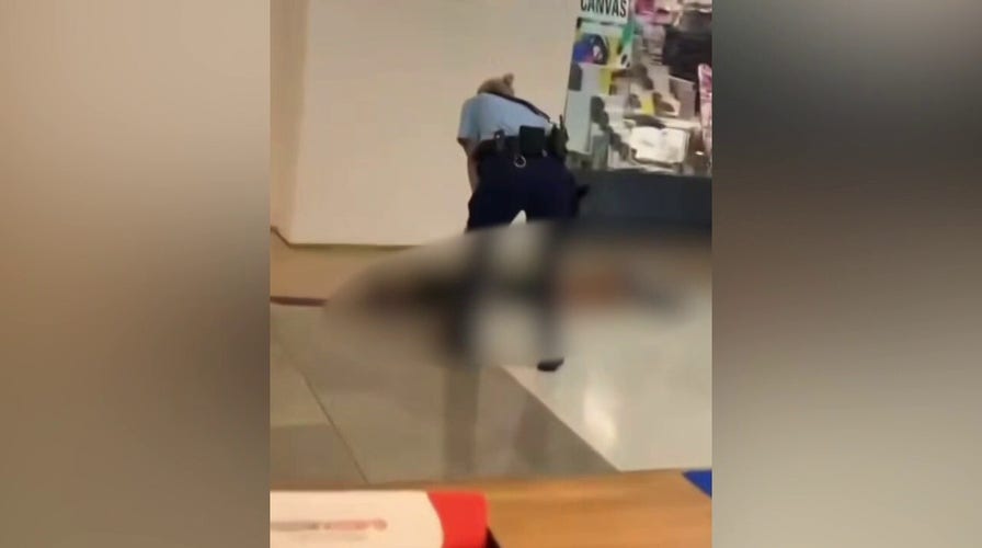 GRAPHIC WARNING: 6 dead, 8 injured after knife-wielding man goes on rampage in Sydney mall