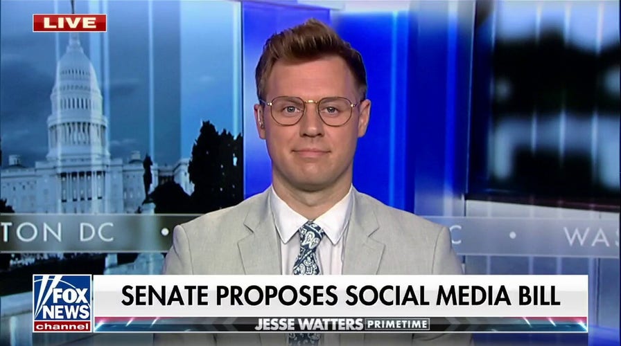 Does the US need age limits for social media?