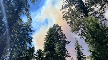 Firefighters work to control a fast-moving wildfire burning in Yosemite National Park