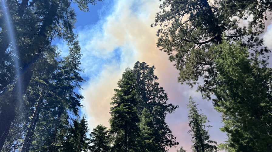 Firefighters work to control a fast-moving wildfire burning in Yosemite National Park