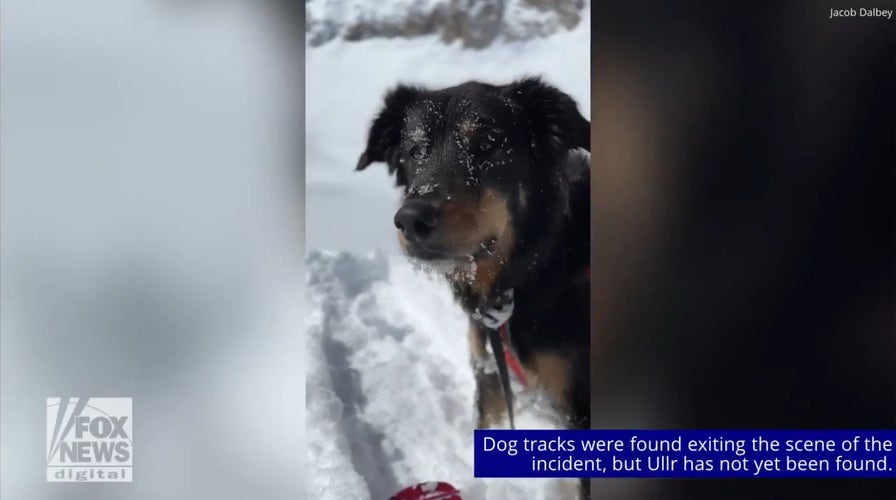 Colorado man survives major avalanche, still searching for pet dog