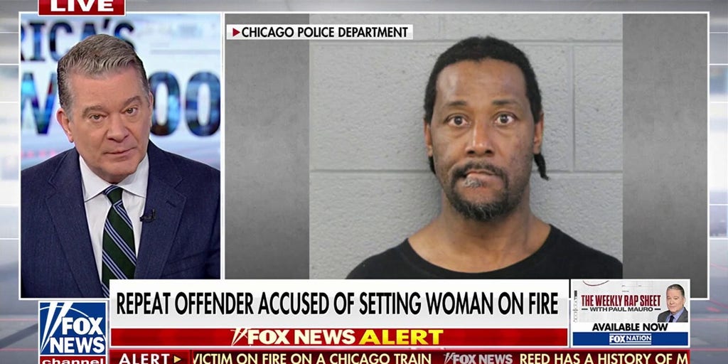 Chicago train attack highlights failure of soft-on-crime policies, says Paul Mauro