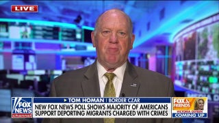 Homan goes after Dems protecting illegal immigrants: Americans can't stand it