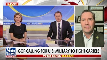 Rep. Michael Waltz calls for US military to fight cartels
