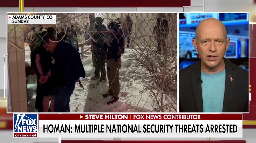 Tom Homan is executing crackdown on illegal immigration to 'perfection,' Steve Hilton says