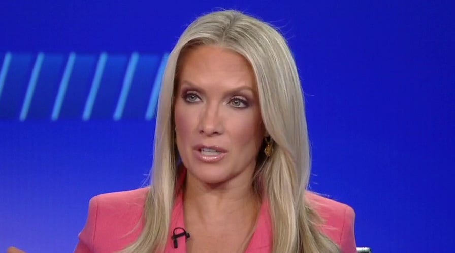 Dana Perino: Liberal city crackdown on legal gun owners is 'waste of time'